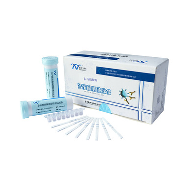 氯霉素残留检测试纸条