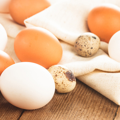 蛋及蛋制品