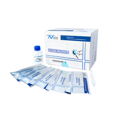 呕吐毒素残留快速检测试纸条